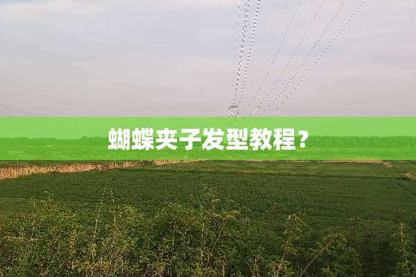 蝴蝶夹子发型教程？