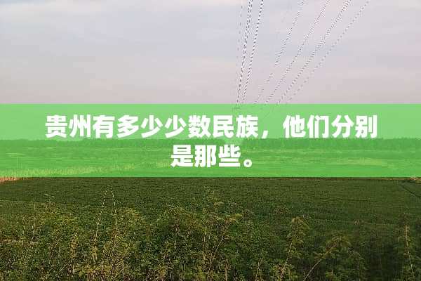 贵州有多少少数民族，他们分别是那些。