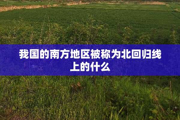 我国的南方地区被称为北回归线上的什么