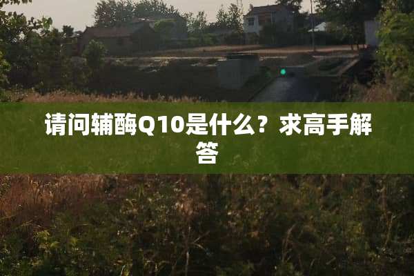 请问辅酶Q10是什么？求高手解答