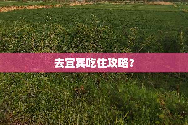去宜宾吃住攻略？
