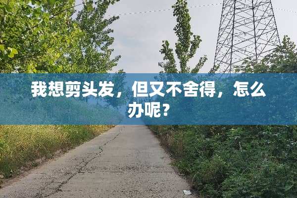 我想剪头发，但又不舍得，怎么办呢？