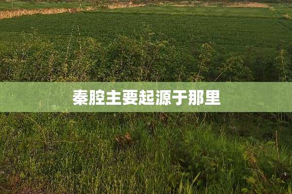 秦腔主要起源于那里