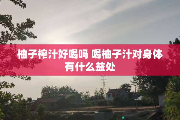 柚子榨汁好喝吗 喝柚子汁对身体有什么益处