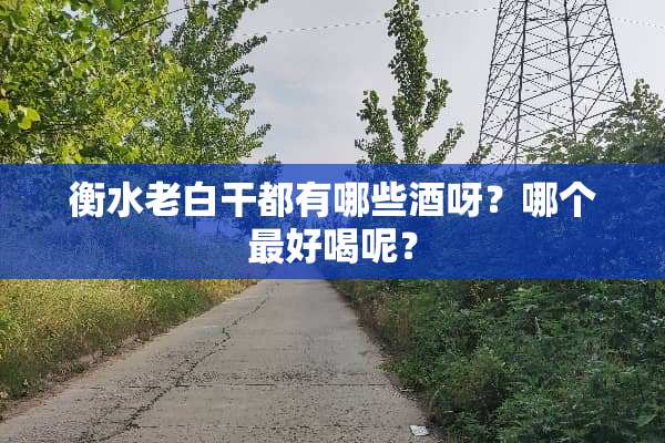 衡水老白干都有哪些酒呀？哪个最好喝呢？