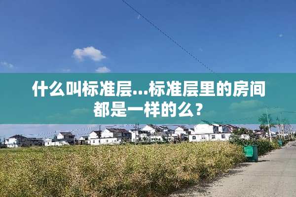 什么叫标准层...标准层里的房间都是一样的么？