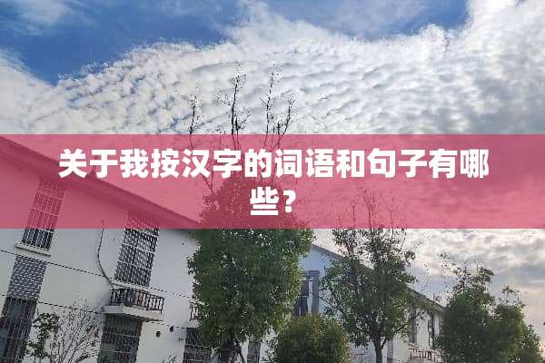 关于我按汉字的词语和句子有哪些？