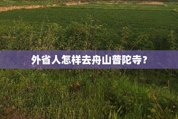 外省人怎样去舟山普陀寺？