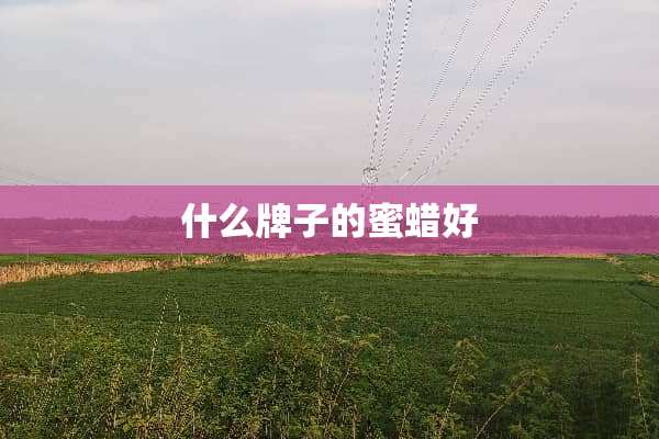 什么牌子的蜜蜡好