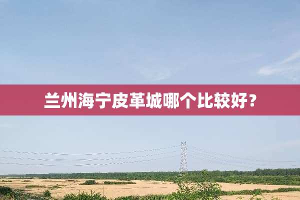 兰州海宁皮革城哪个比较好？