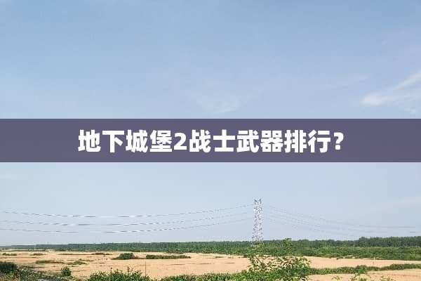 **城堡2战士**排行？