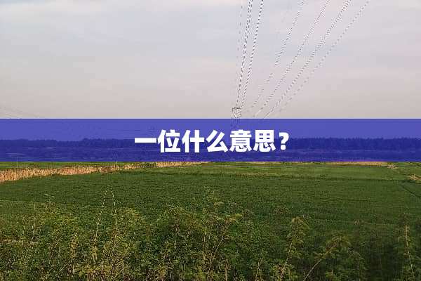 一位什么意思？