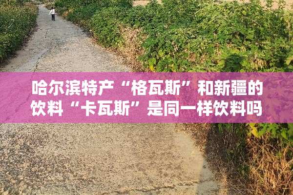 哈尔滨特产“格瓦斯”和新疆的饮料“卡瓦斯”是同一样饮料吗？