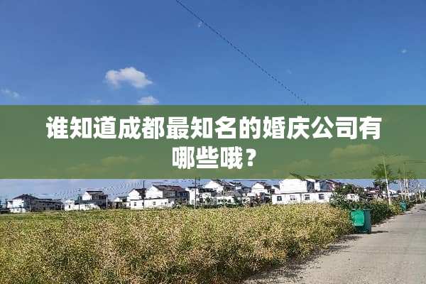 谁知道成都最知名的婚庆公司有哪些哦？