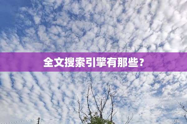全文搜索引擎有那些？