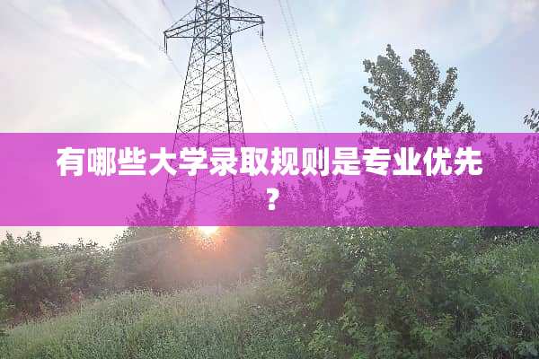 有哪些大学录取规则是专业优先？