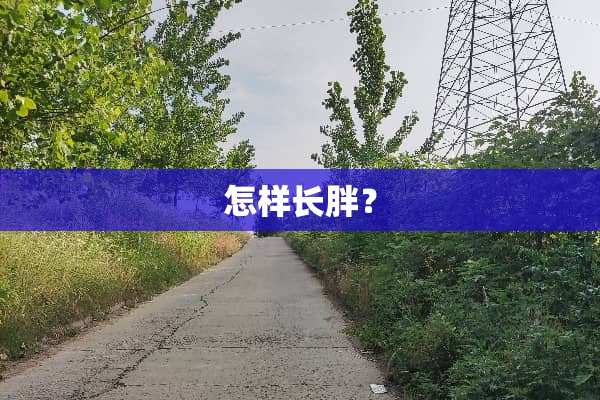 怎样长胖？