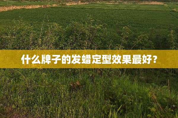 什么牌子的发蜡定型效果最好？