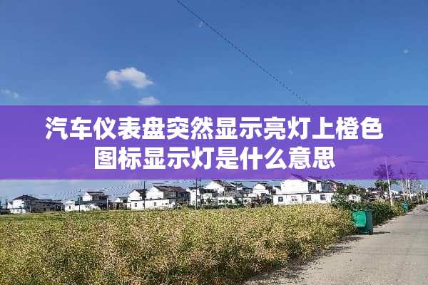 汽车仪表盘突然显示亮灯上橙**标显示灯是什么意思