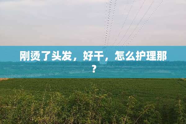 刚烫了头发，好干，怎么护理那？
