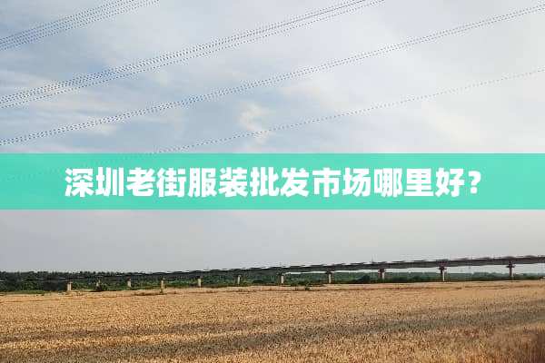 深圳老街服装批发市场哪里好？