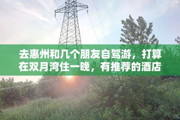 去惠州和几个朋友自驾游，打算在双月湾住一晚，有推荐的酒店吗？