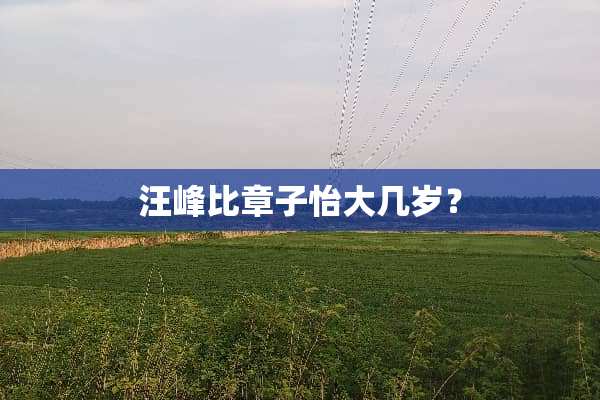 汪峰比章子怡大几岁？