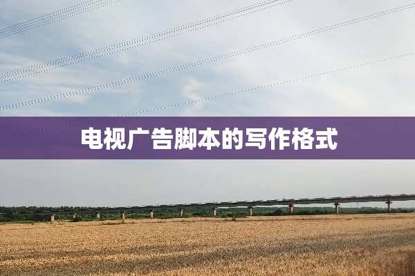 电视广告脚本的写作格式
