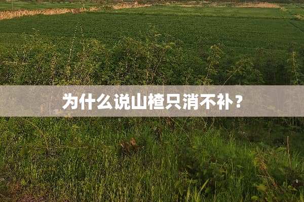 为什么说山楂只消不补？