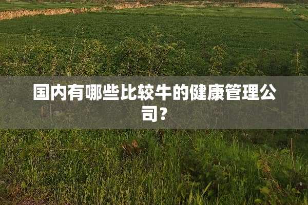 国内有哪些比较牛的健康管理公司？