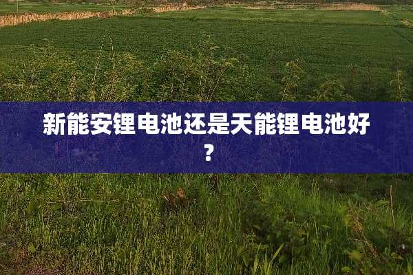 新能安锂电池还是天能锂电池好？