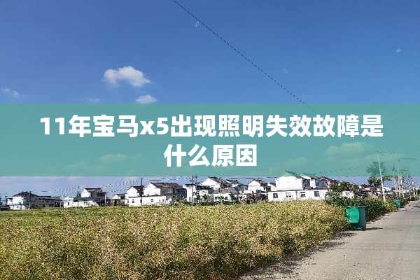 11年宝马x5出现照明失效故障是什么原因