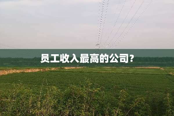 员工收入最高的公司？