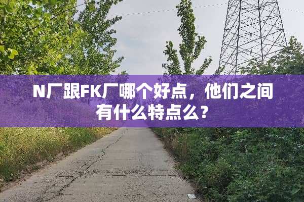 N厂跟FK厂哪个好点，他们之间有什么特点么？