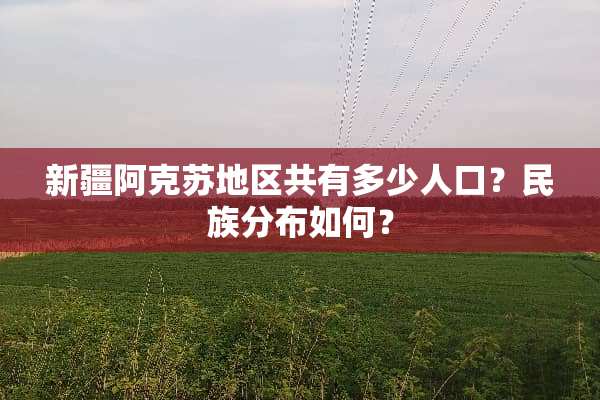 新疆阿克苏地区共有多少人口？民族分布如何？