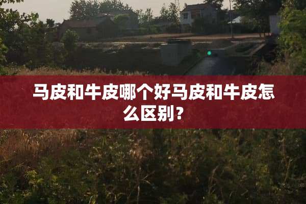 马皮和牛皮哪个好马皮和牛皮怎么区别？