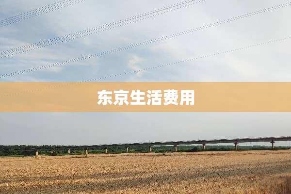 东京生活费用
