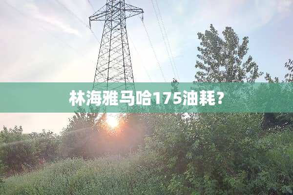 林海***175油耗？