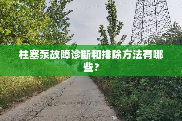 柱塞泵故障诊断和排除方法有哪些？