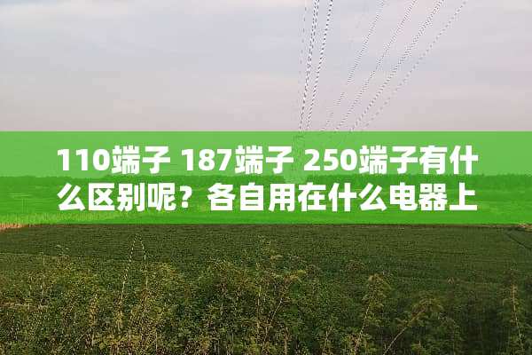 110端子 187端子 250端子有什么区别呢？各自用在什么电器上比较多呢？