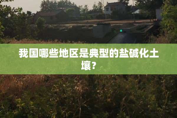 我国哪些地区是典型的盐碱化土壤？