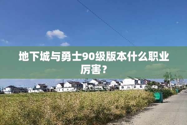 **城与勇士90级版本什么职业厉害？