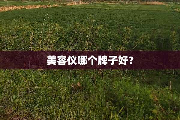 美容仪哪个牌子好？