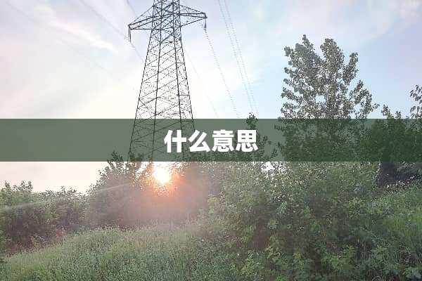 什么意思