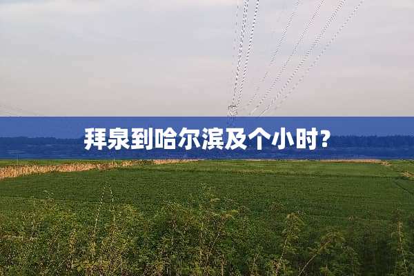 拜泉到哈尔滨及个小时？