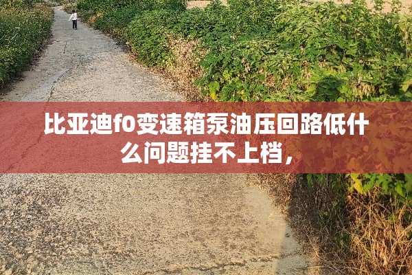 比亚迪f0变速箱泵油压回路低什么问题挂不上档，