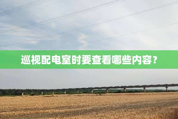 巡视配电室时要查看哪些内容？