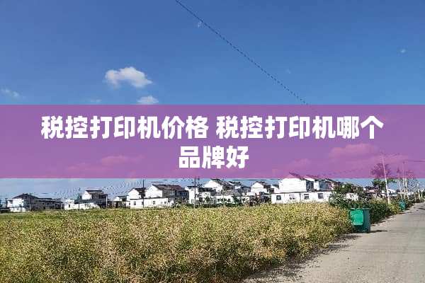 税控打印机价格 税控打印机哪个品牌好