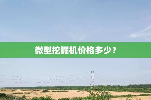 微型挖掘机价格多少？