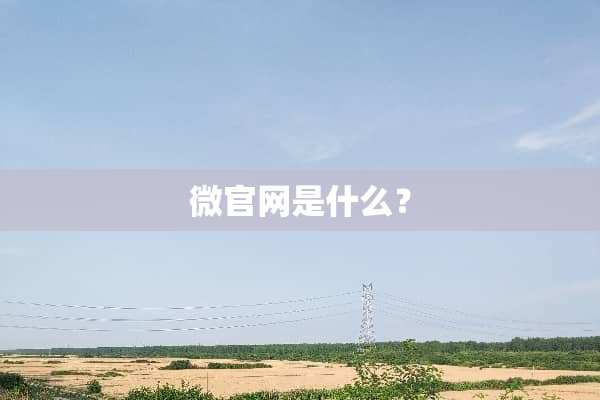 微官网是什么？